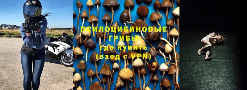 Галлюциногенные грибы Psilocybine cubensis  Остров 